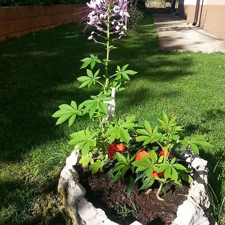 Apartamento Roncevic Zadar