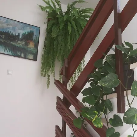 Roncevic Apartment *