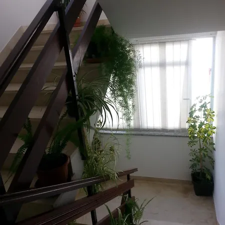 Apartment Roncevic