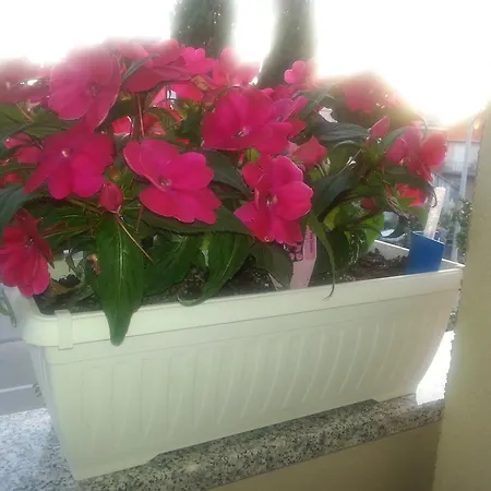 Apartment Roncevic *