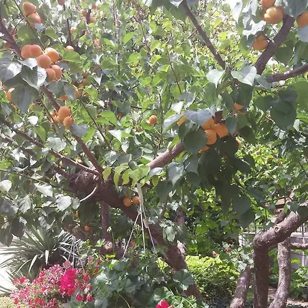 公寓 龙塞维克公寓