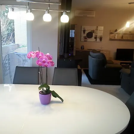 Roncevic Apartment Zadar