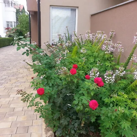 Roncevic Apartment