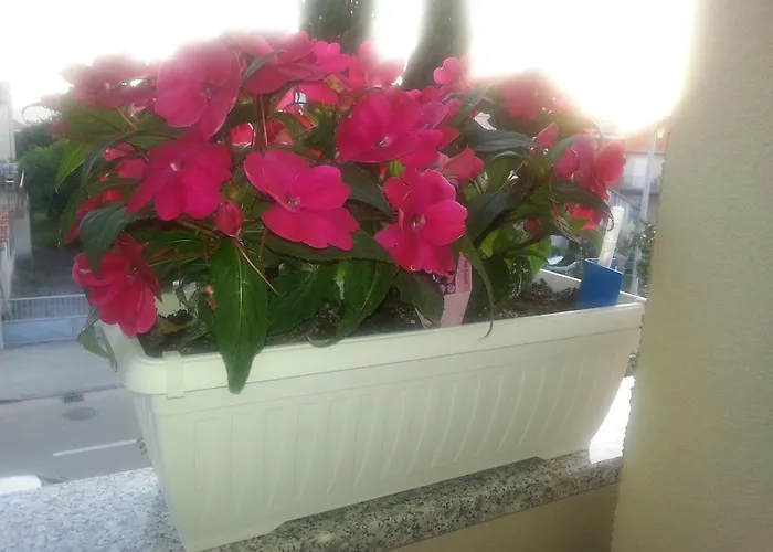 Apartment Roncevic *